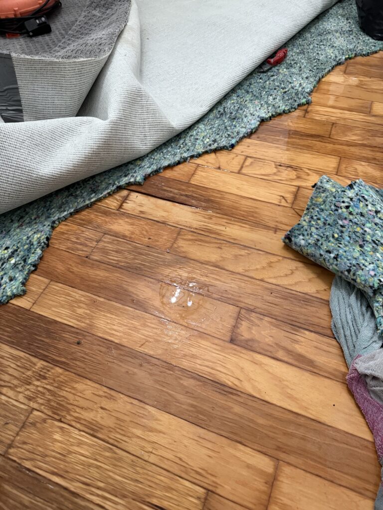 Key Questions to Ask Your Water Damage Restoration Company