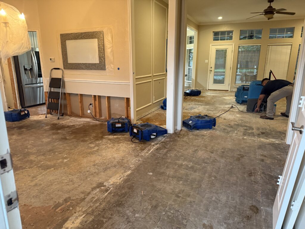 How Dehumidification Prevents Mold Growth After Water Damage